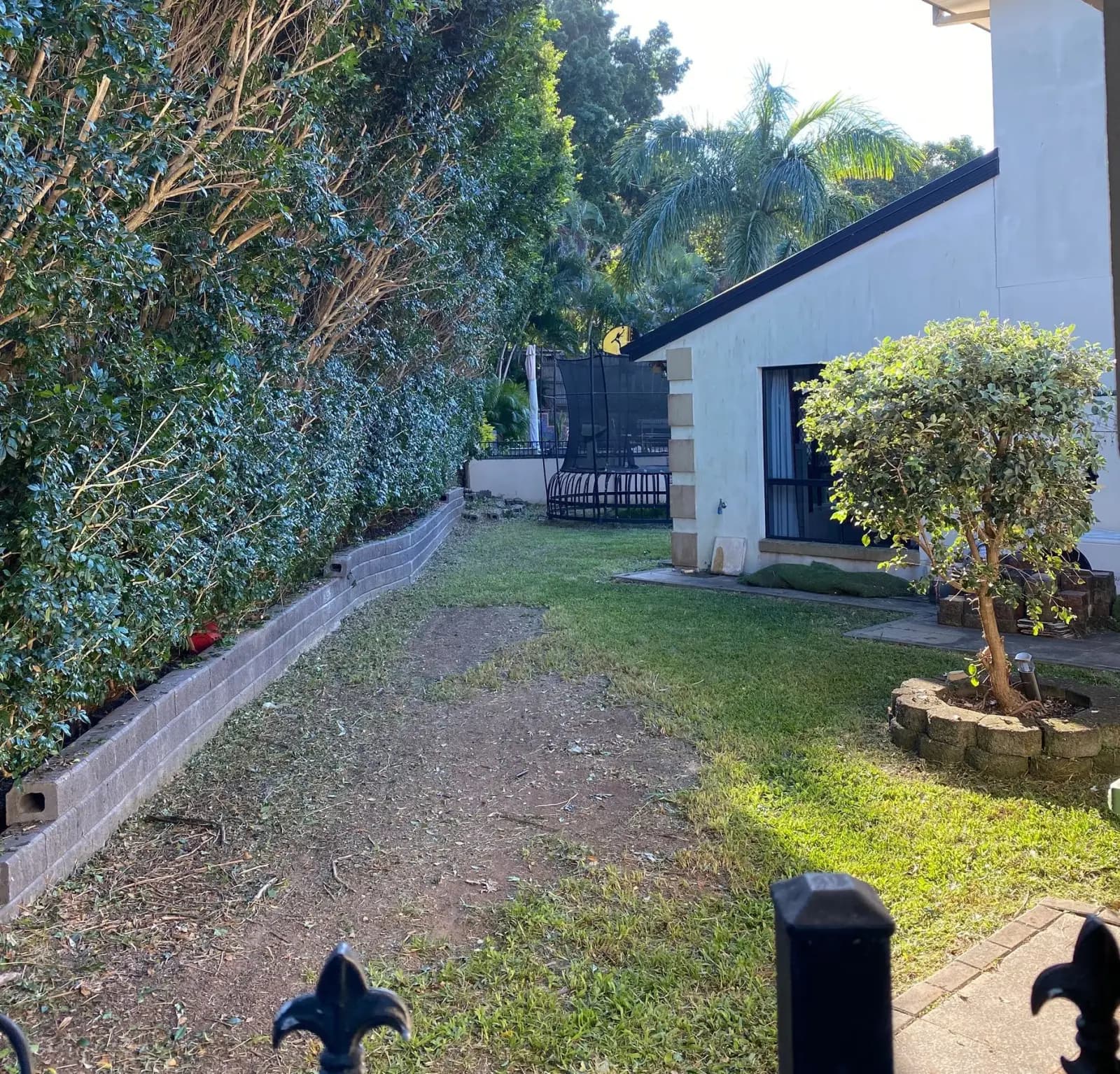 Transformed backyard with lush green lawn