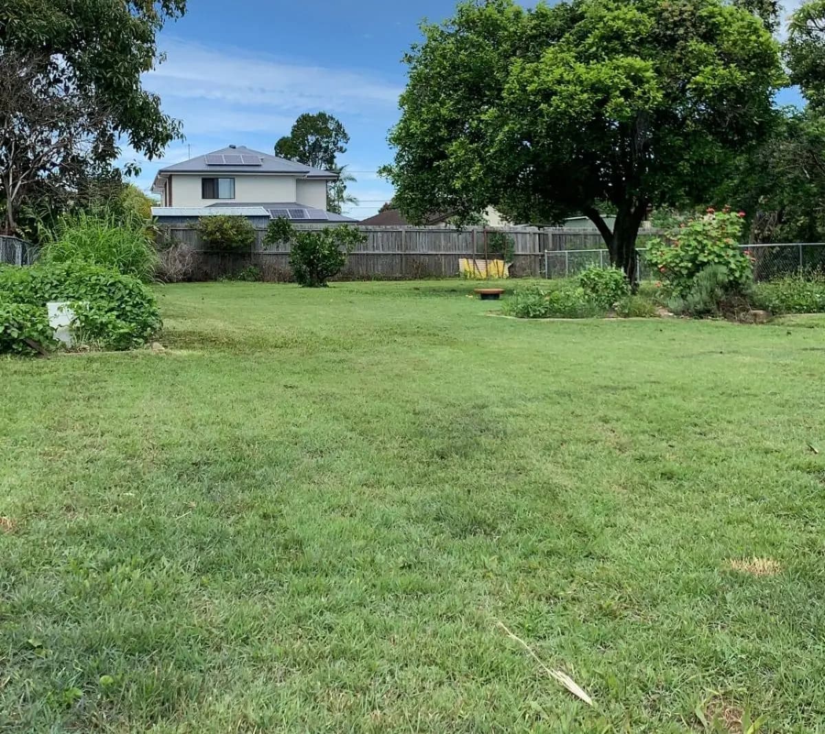 Backyard lawn after Plus One lawn care
