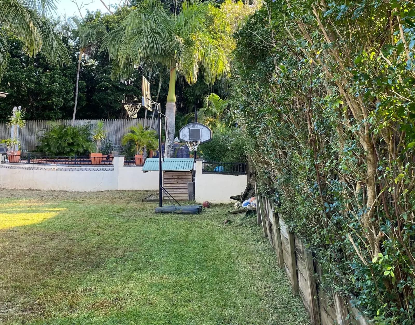 Tidy backyard with cleared beds and defined edges