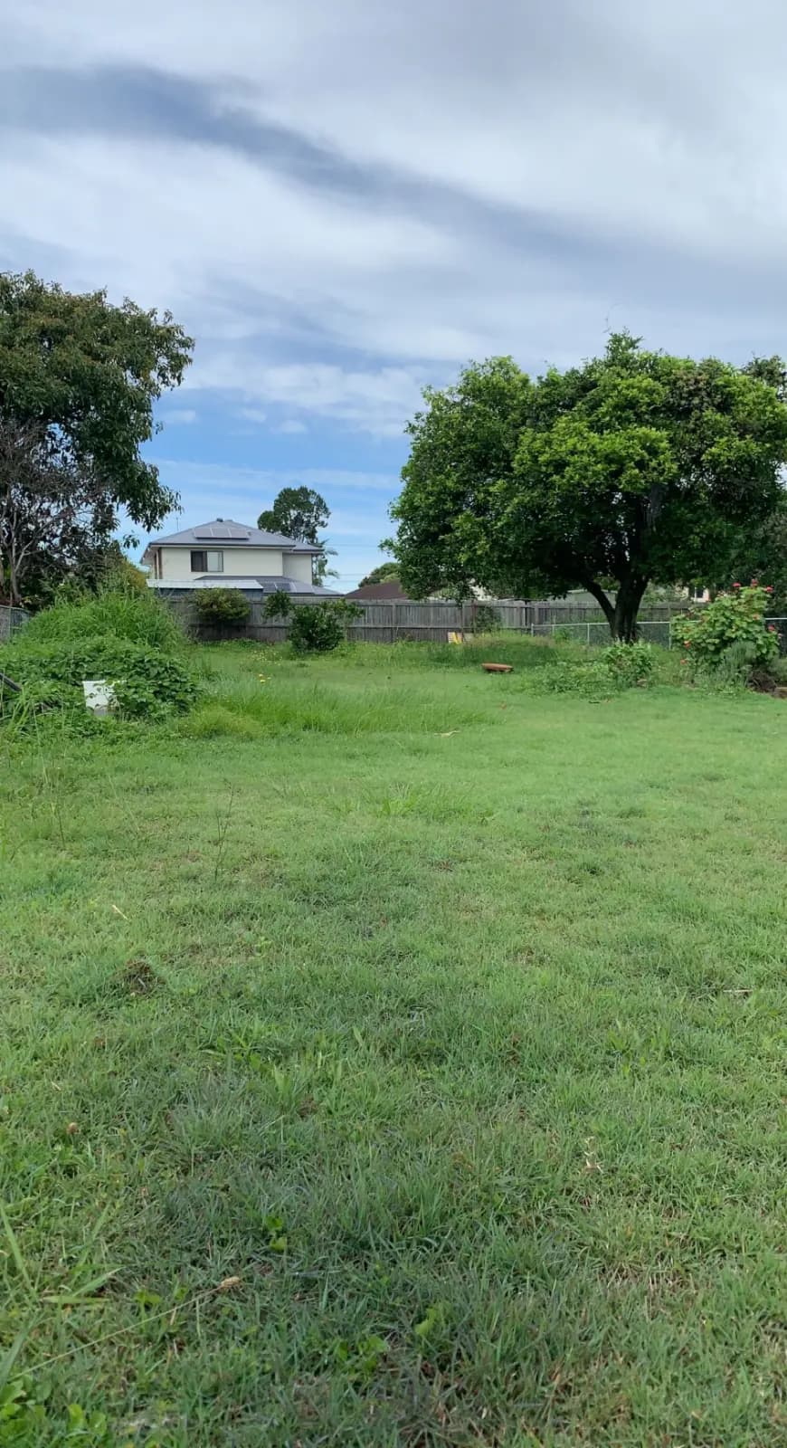 Backyard lawn before Plus One lawn care