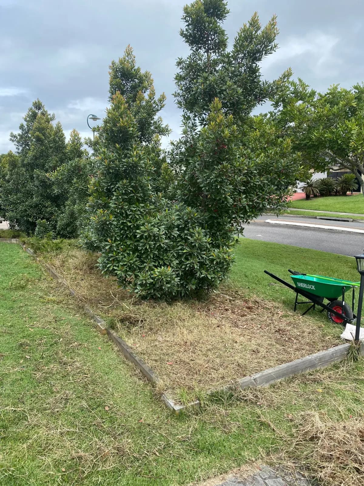 Garden beds with overgrown hedges and bare soil