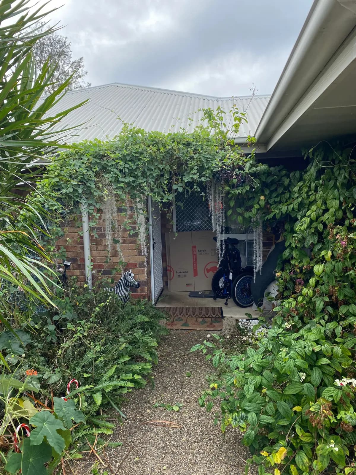 Overgrown patio area before Plus One landscaping